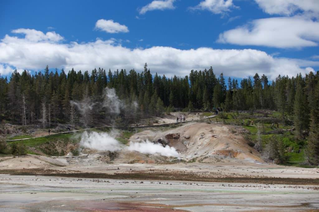 Norris Geyser Basin