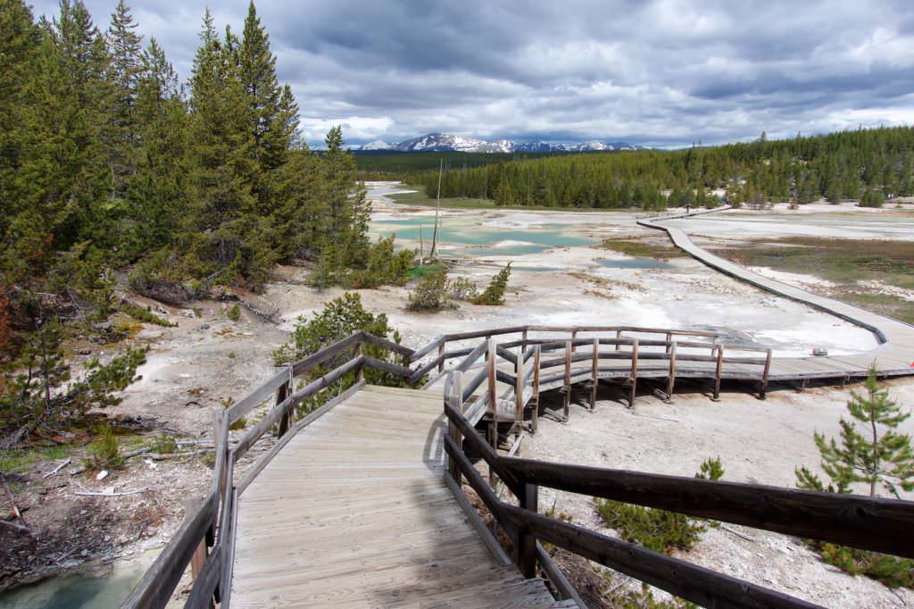 Norris Geyser Basin