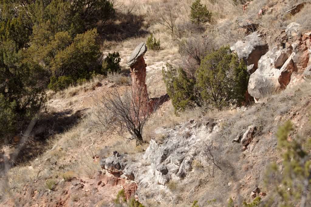 Lighthouse Trail