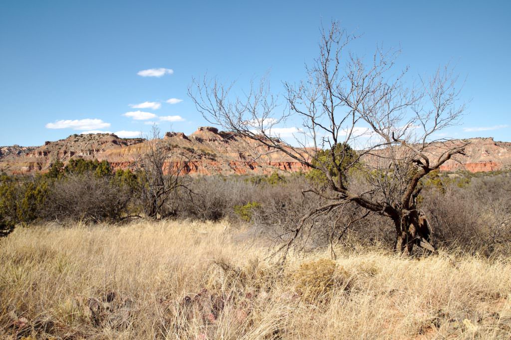 Lighthouse Trail