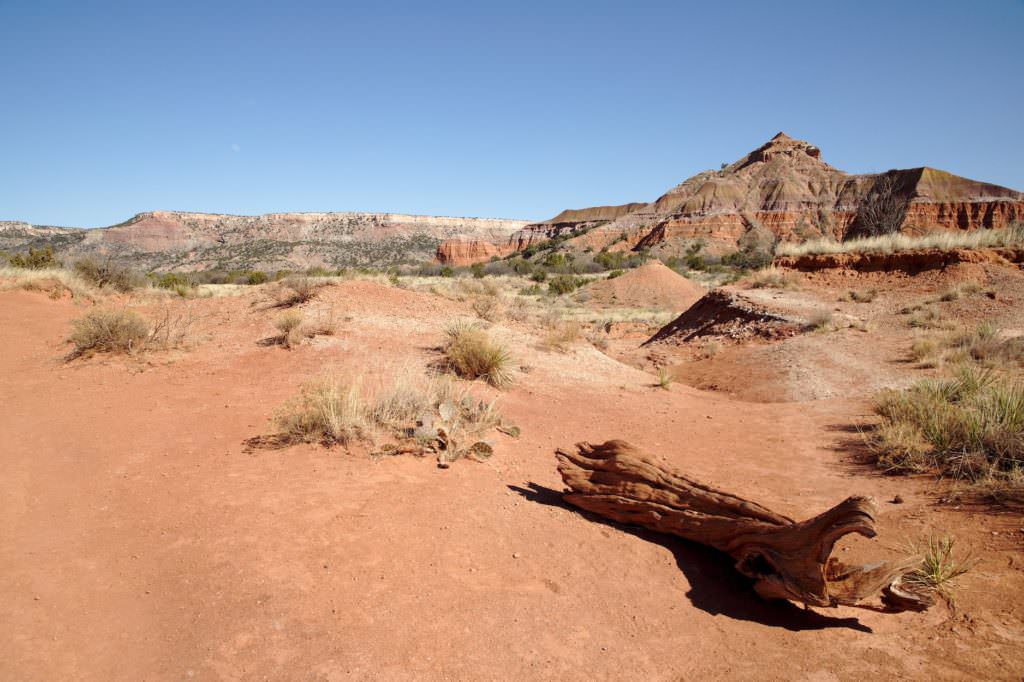 Lighthouse Trail