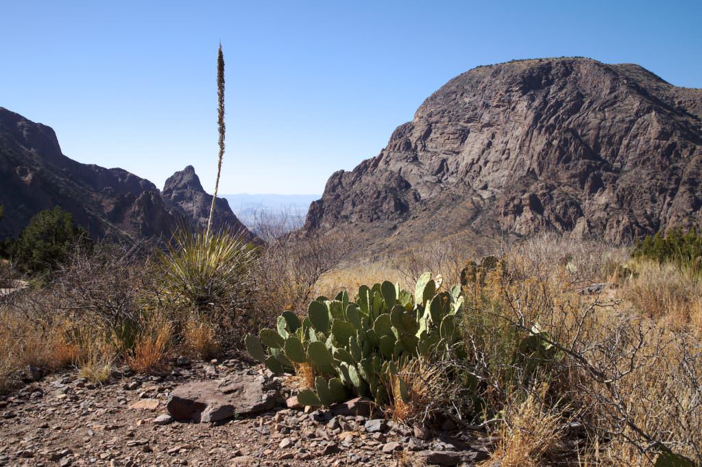 Chisos Mountain Lodge