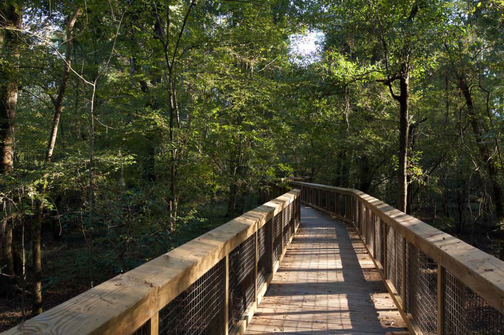 Congaree NP