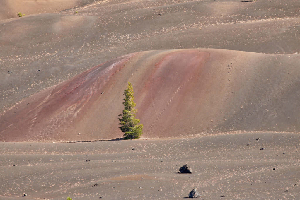 Painted Dunes