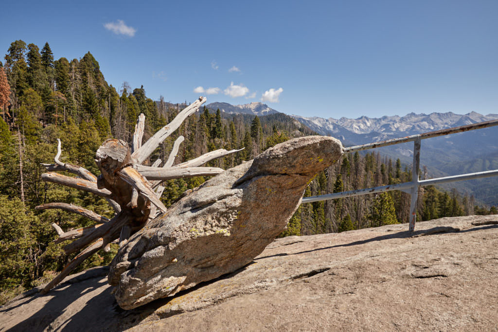 Moro Rock Trail