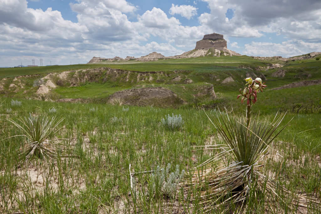 Scottsbluff NM