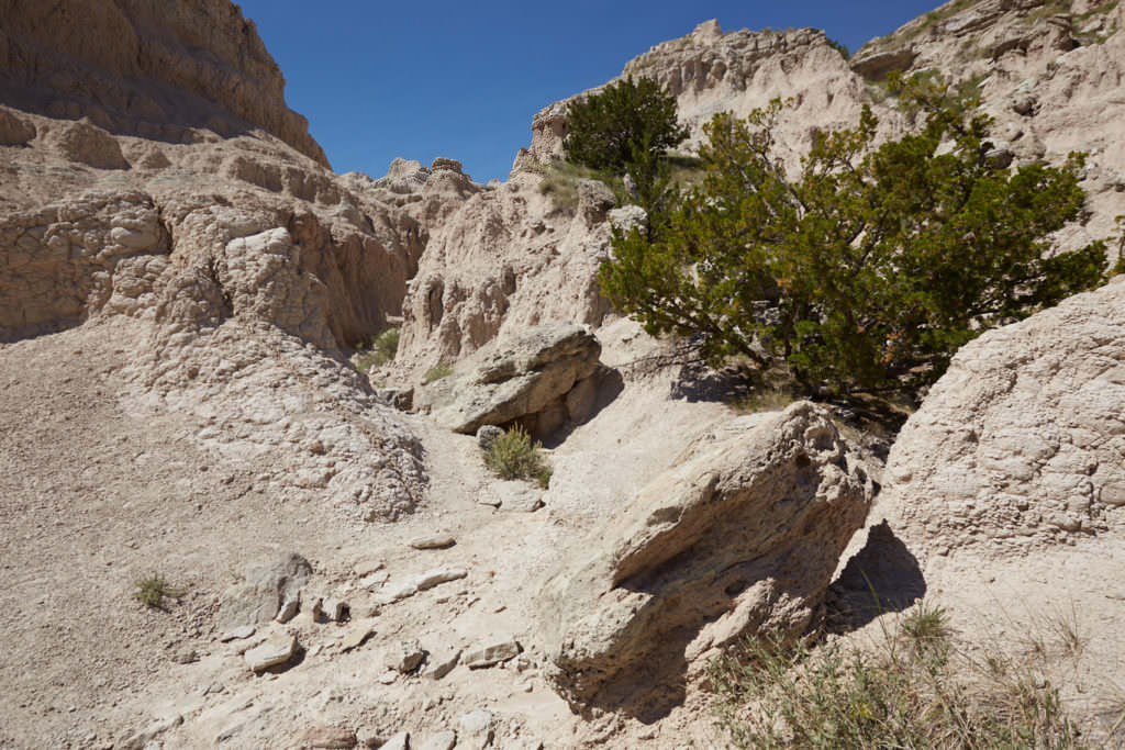 Notch Trail