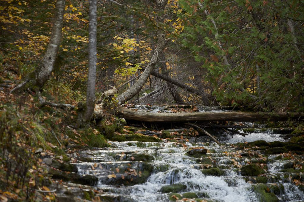 Chute - Forillon NP