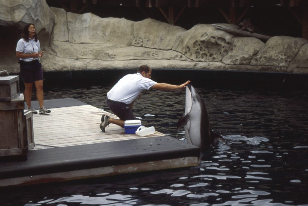 Stanley Park/Aquarium