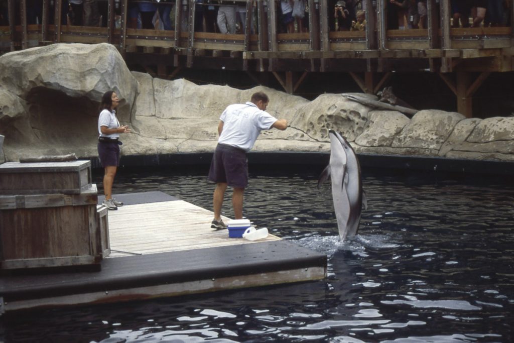 Stanley Park/Aquarium