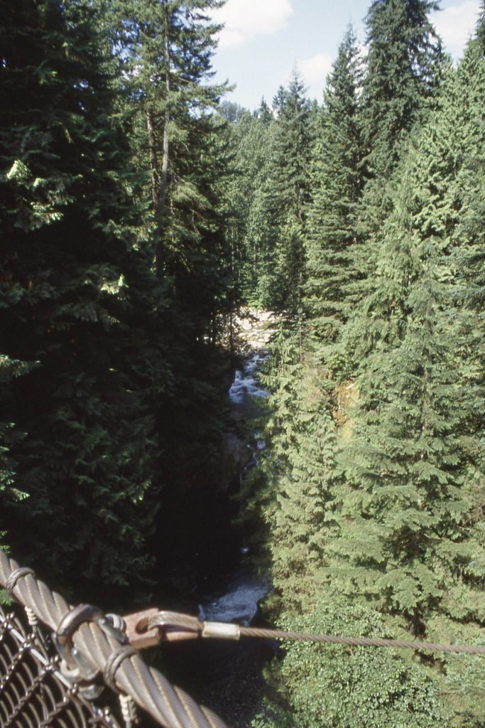 Lynn Canyon