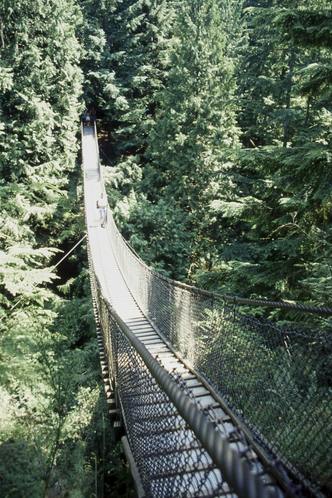 Lynn Canyon