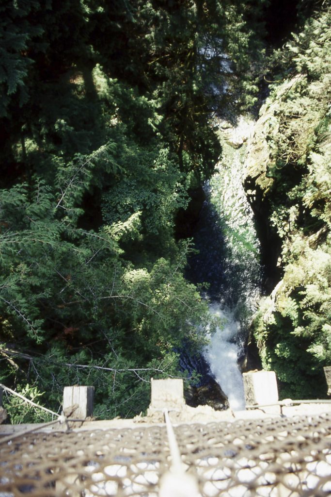 Lynn Canyon