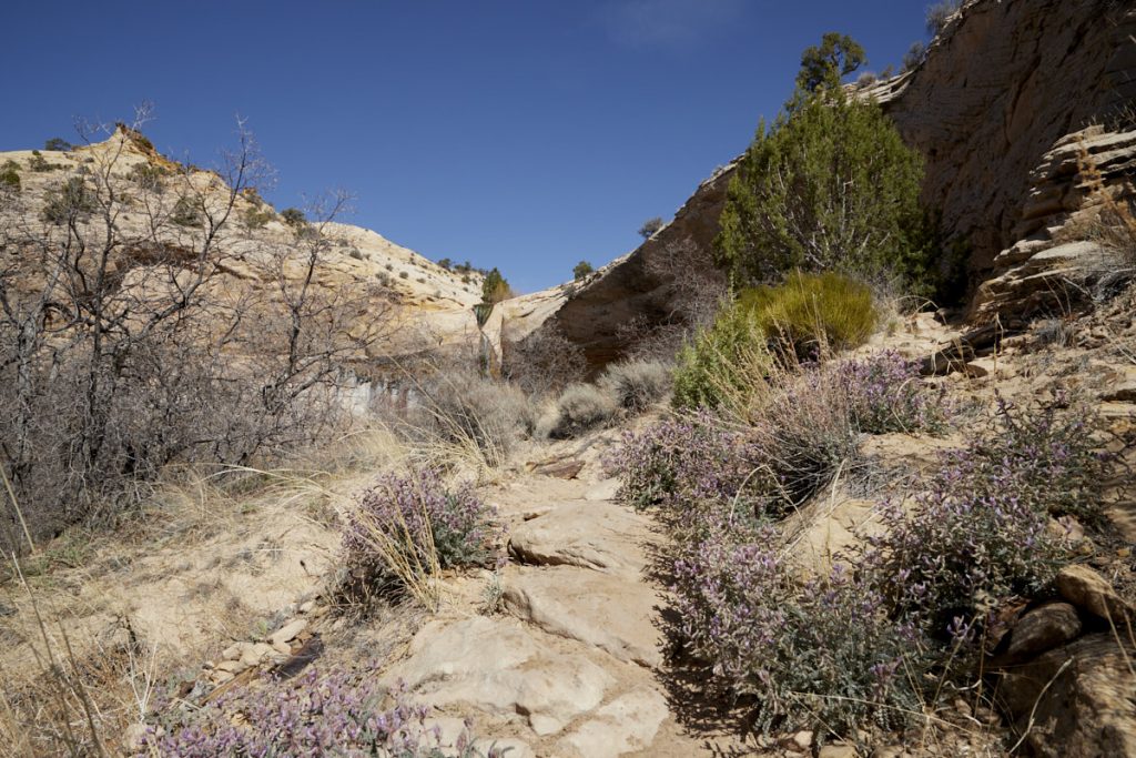 Upper Calf Creek Fall