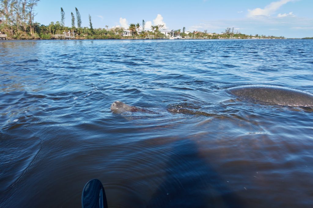 Manasota Key