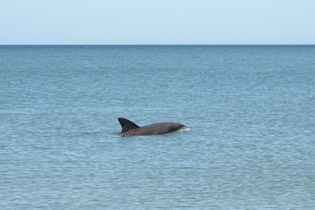 Manasota Key