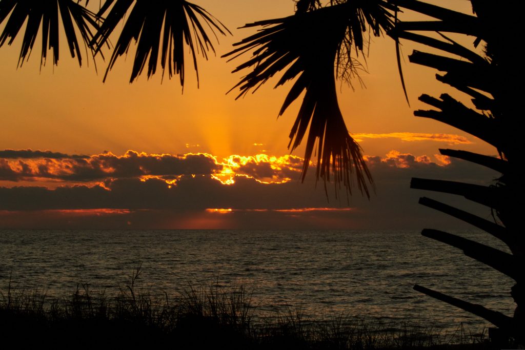 Manasota Key - Florida