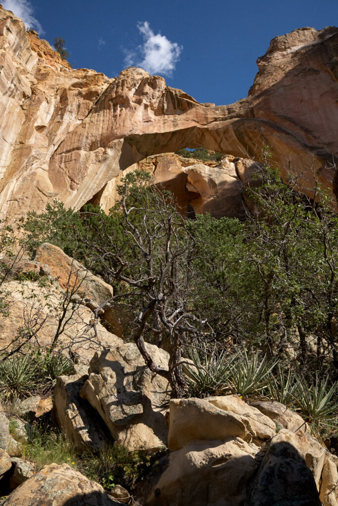 El Malpais NM