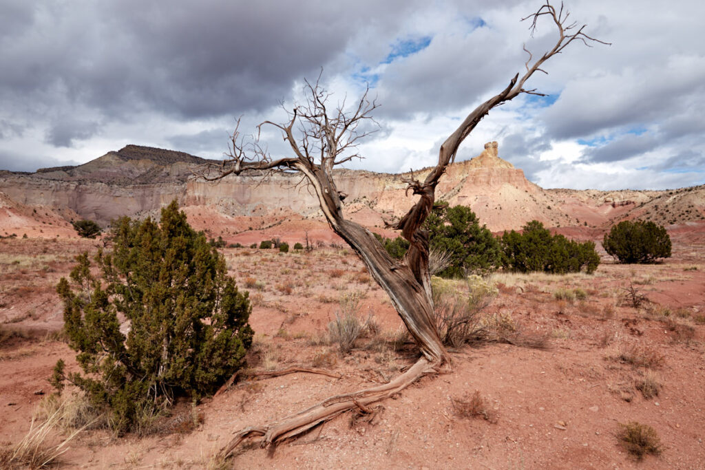 Ghost Ranch