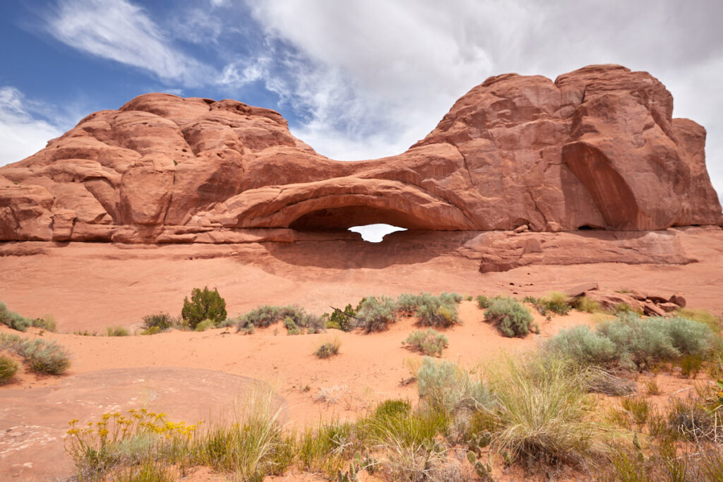 Eye of the Whale Arch