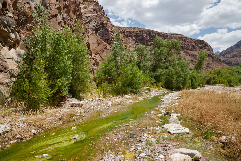 Diamond Creek Road