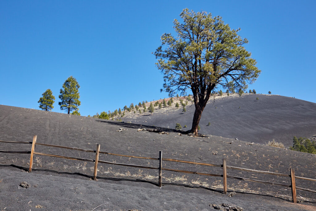 Sunset Crater Volcano NM