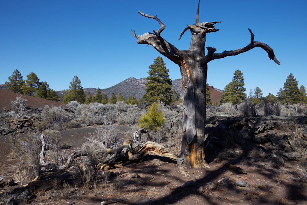 Sunset Crater Volcano NM