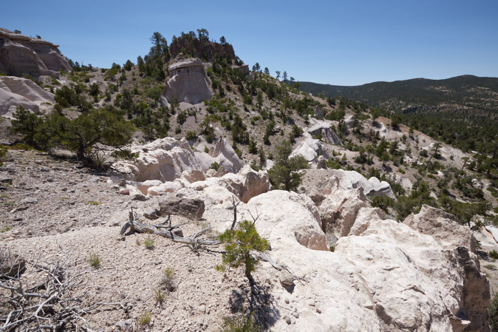 Pine Park - Zweite Gruppe