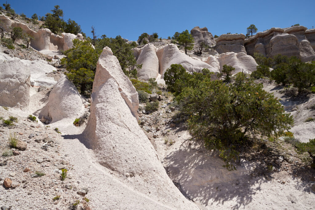 Pine Park - Zweite Gruppe