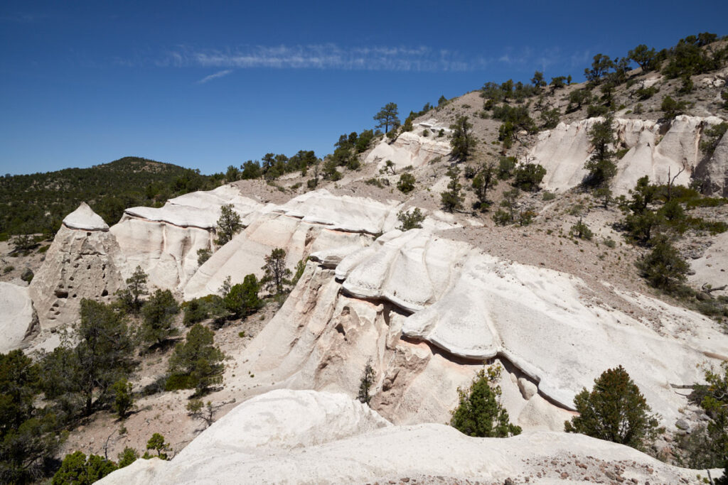 Pine Park - Zweite Gruppe