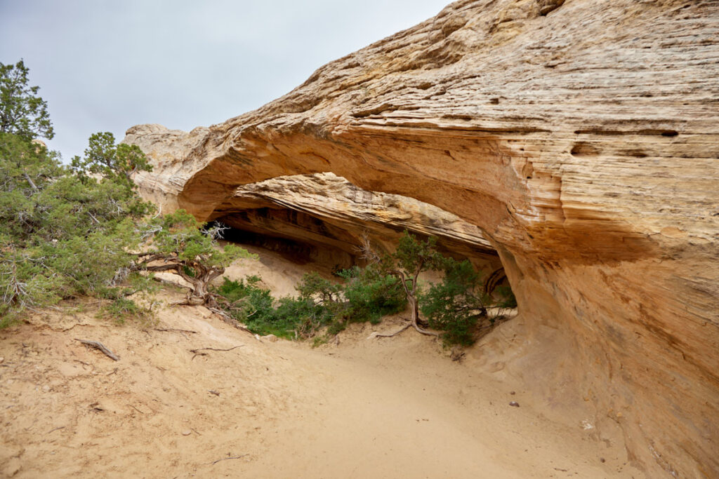 Moonshine Arch