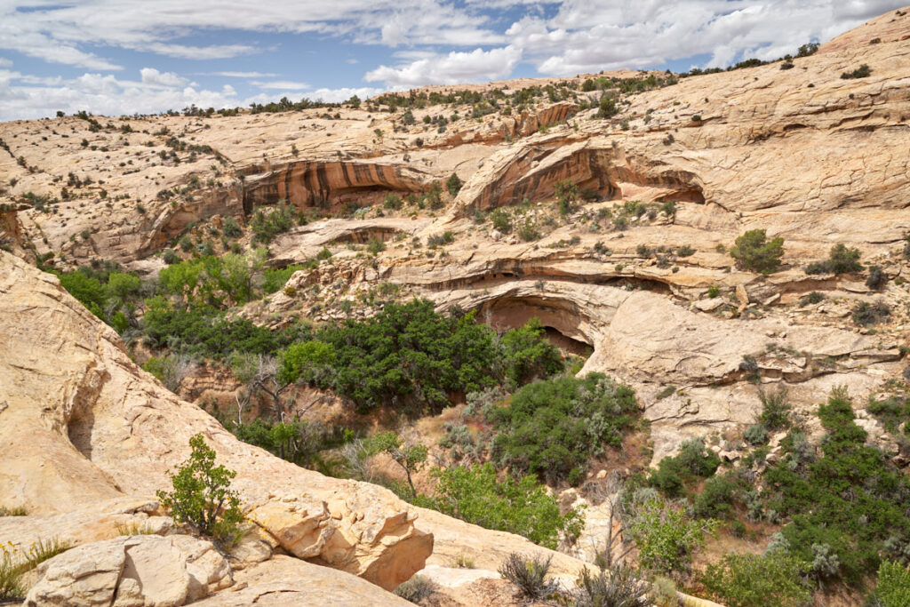 Butler Wash Ruins