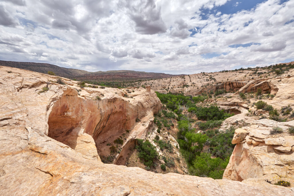 Butler Wash Ruins