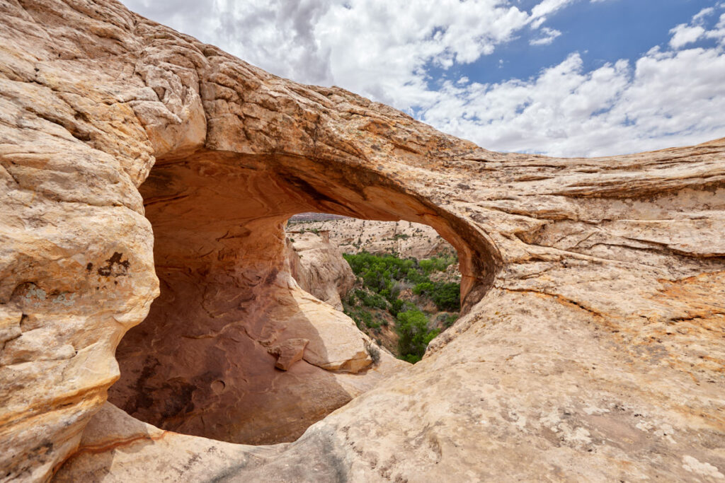 Butler Wash Ruins