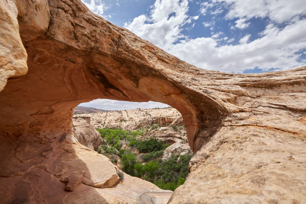 Butler Wash Ruins