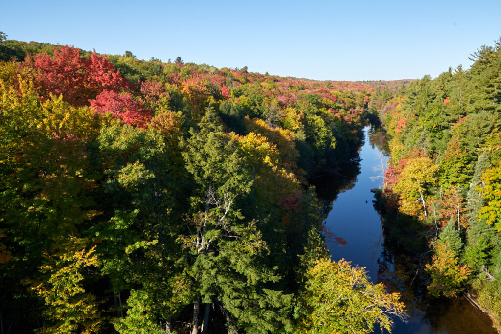 Steel Bridge Pocket Park