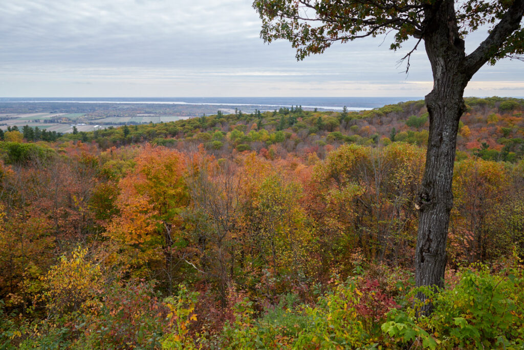 Parc de la Gatineau