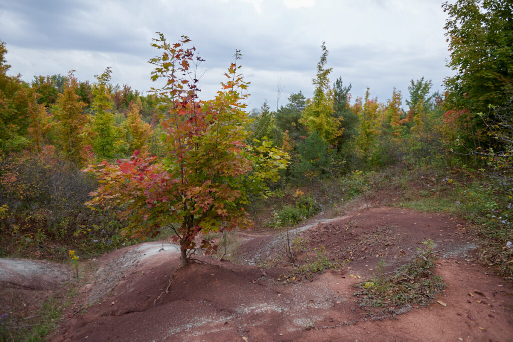 Cheltenham Badlands