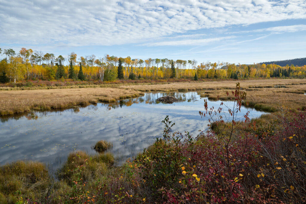 Ouimet Canyon PP