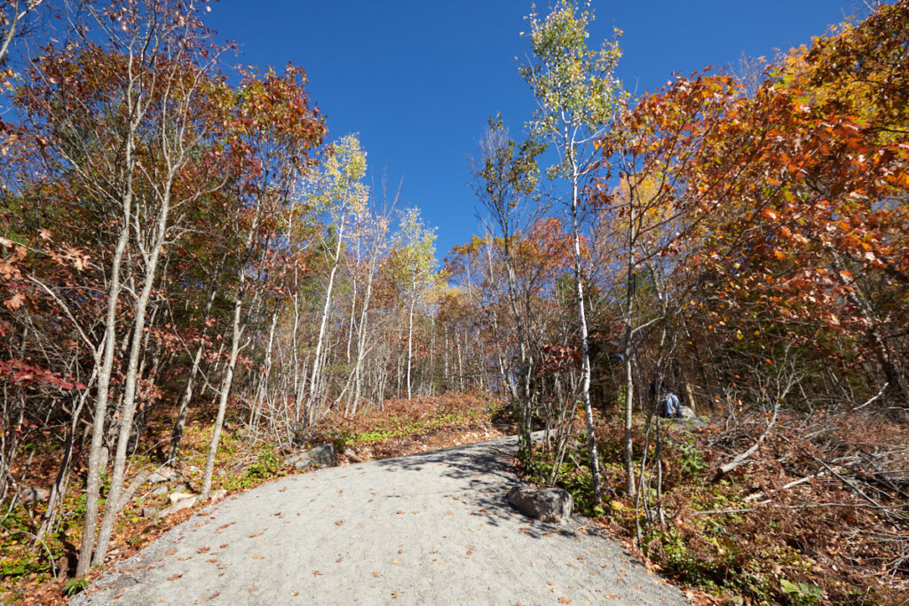 Fork Lake Trail