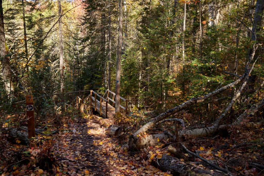 Fork Lake Trail