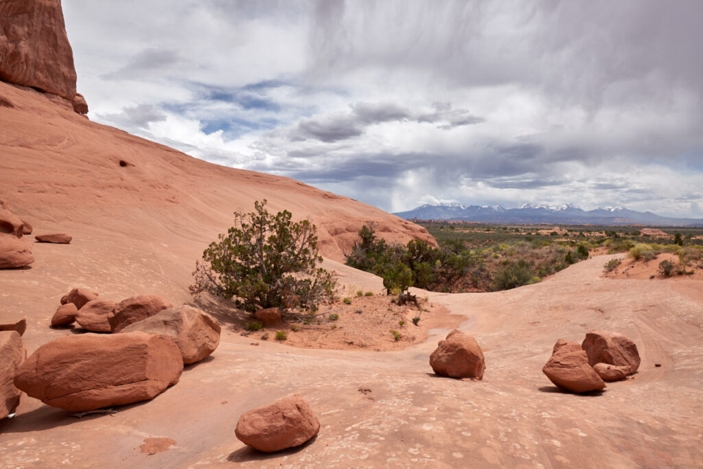 Eye of the Whale Arch