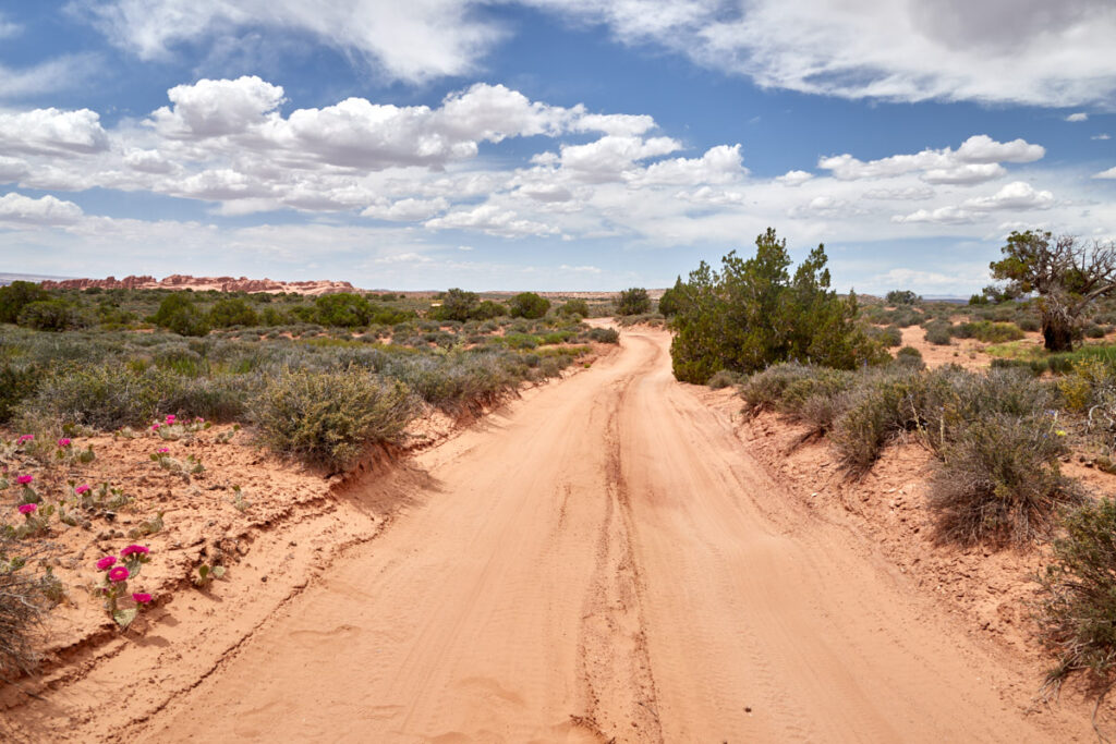 Eye of the Whale Arch