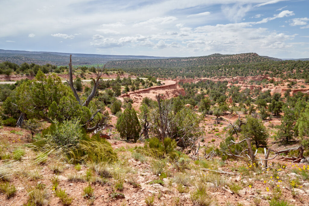 Elk Mountain Road 228