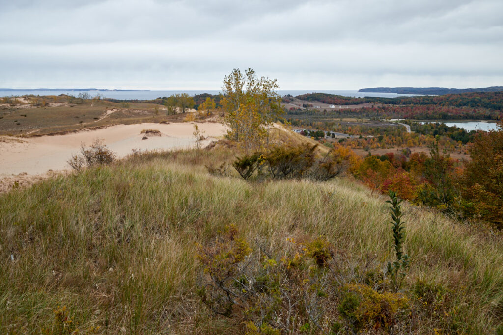 Pierce Stocking Scenic Drive