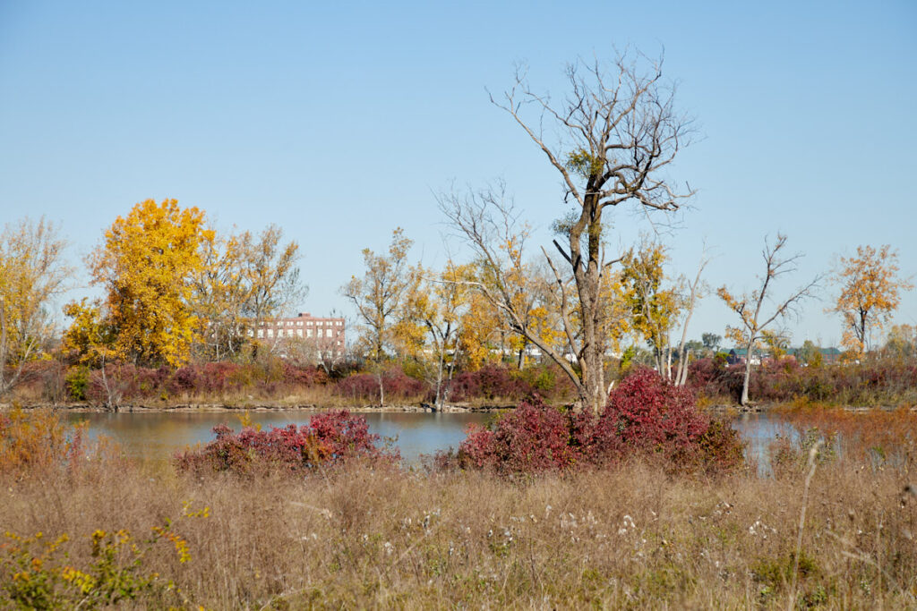 William Livingstone Lighthouse