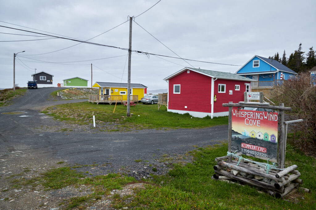 Funky Frog Cottage
