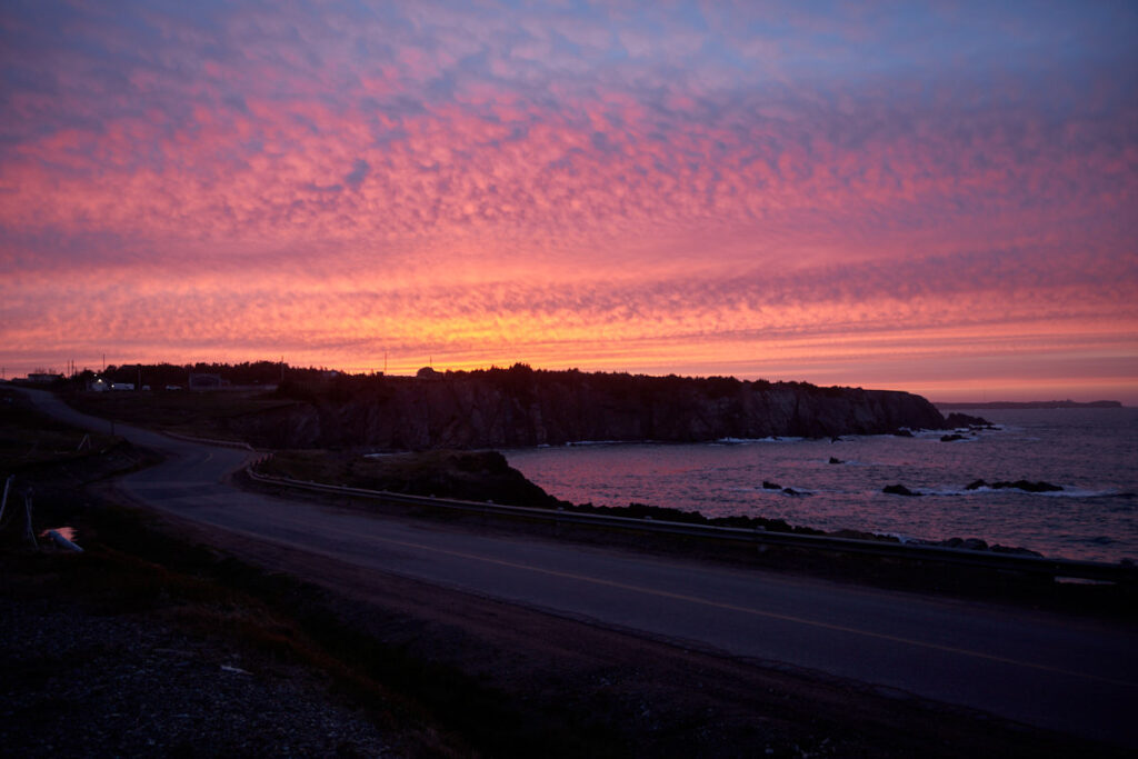 Blue Whale Oceanfront Cottage