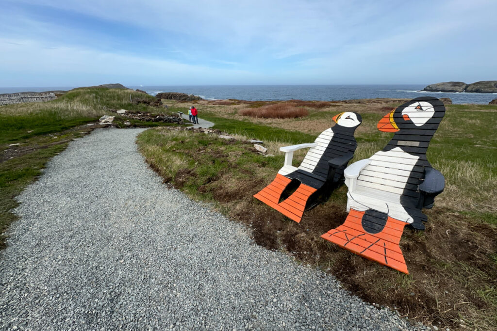 Puffin Viewing Site