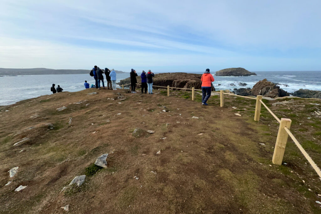 Puffin Viewing Site